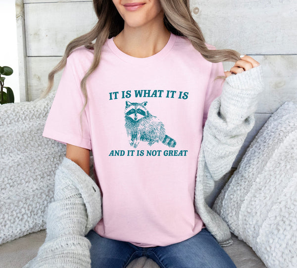 It Is What It Is And It Is Not Great Vintage Drawing T-Shirt, Raccoon Meme Shirt, Funny Trash Panda T-Shirt, Unisex Shirt