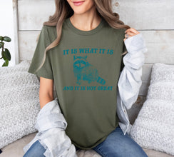 It Is What It Is And It Is Not Great Vintage Drawing T-Shirt, Raccoon Meme Shirt, Funny Trash Panda T-Shirt, Unisex Shirt