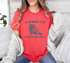 It Is What It Is And It Is Not Great Vintage Drawing T-Shirt, Raccoon Meme Shirt, Funny Trash Panda T-Shirt, Unisex Shirt