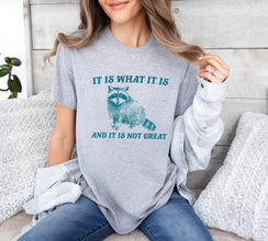 It Is What It Is And It Is Not Great Vintage Drawing T-Shirt, Raccoon Meme Shirt, Funny Trash Panda T-Shirt, Unisex Shirt