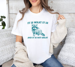 It Is What It Is And It Is Not Great Vintage Drawing T-Shirt, Raccoon Meme Shirt, Funny Trash Panda T-Shirt, Unisex Shirt