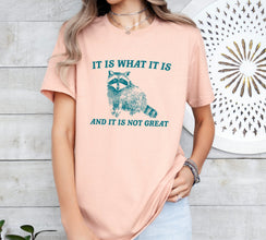 It Is What It Is And It Is Not Great Vintage Drawing T-Shirt, Raccoon Meme Shirt, Funny Trash Panda T-Shirt, Unisex Shirt