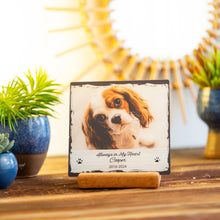 Custom Pet Memorial Plaques, Custom Dog Portrait From Photo, Custom Cat Memorial Loss Of Pet Bereavement, , Personalised dog loss gift